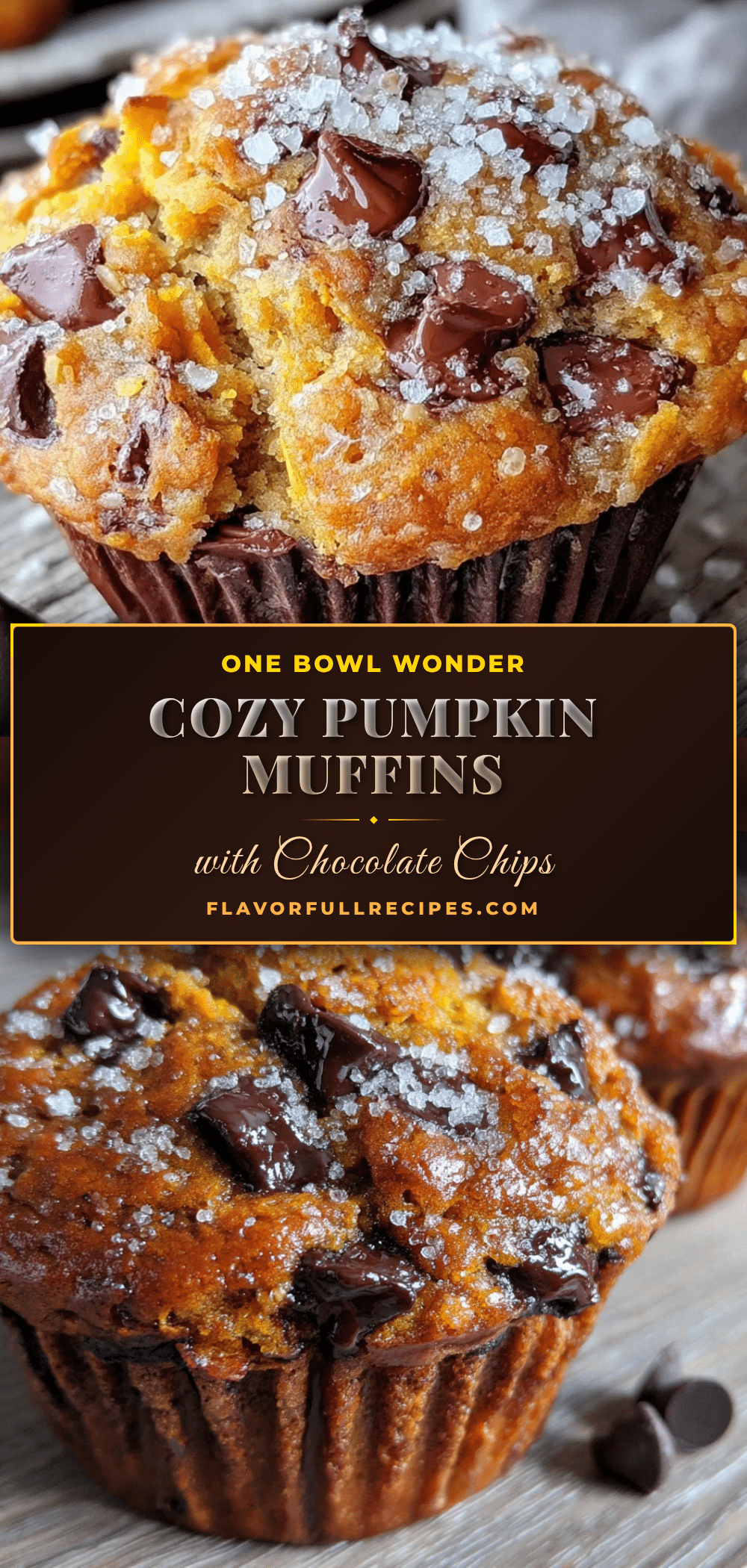 pumpkin chocolate chip muffins recipe