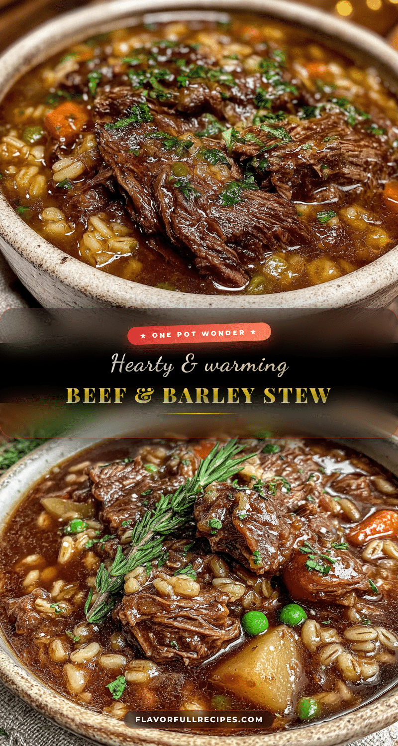 beef and barley stew recipe
